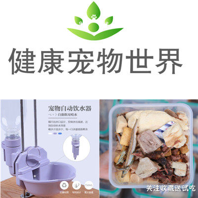 健康宠物世界