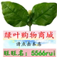 绿叶购物商城