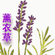 老夏手工社 店铺LOGO