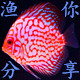 渔你分享