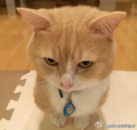 心蓝标识标牌