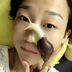 观赏蜗牛
