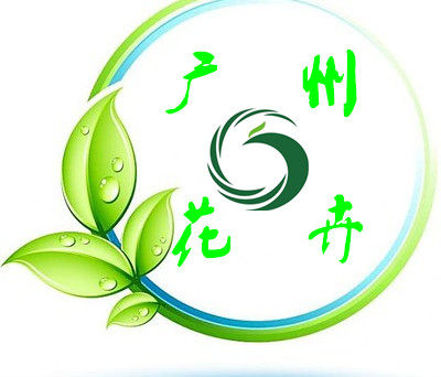 广 州 花 卉