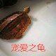 嫩草小店 店铺LOGO