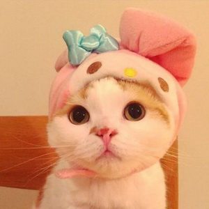 被服罗裳衣
