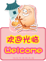 辣妈宠物用品批发