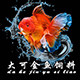 大可水族