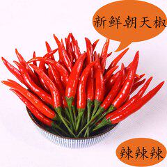 蝴之蝶缝配
