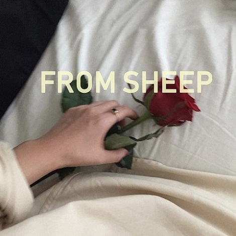 From Sheep