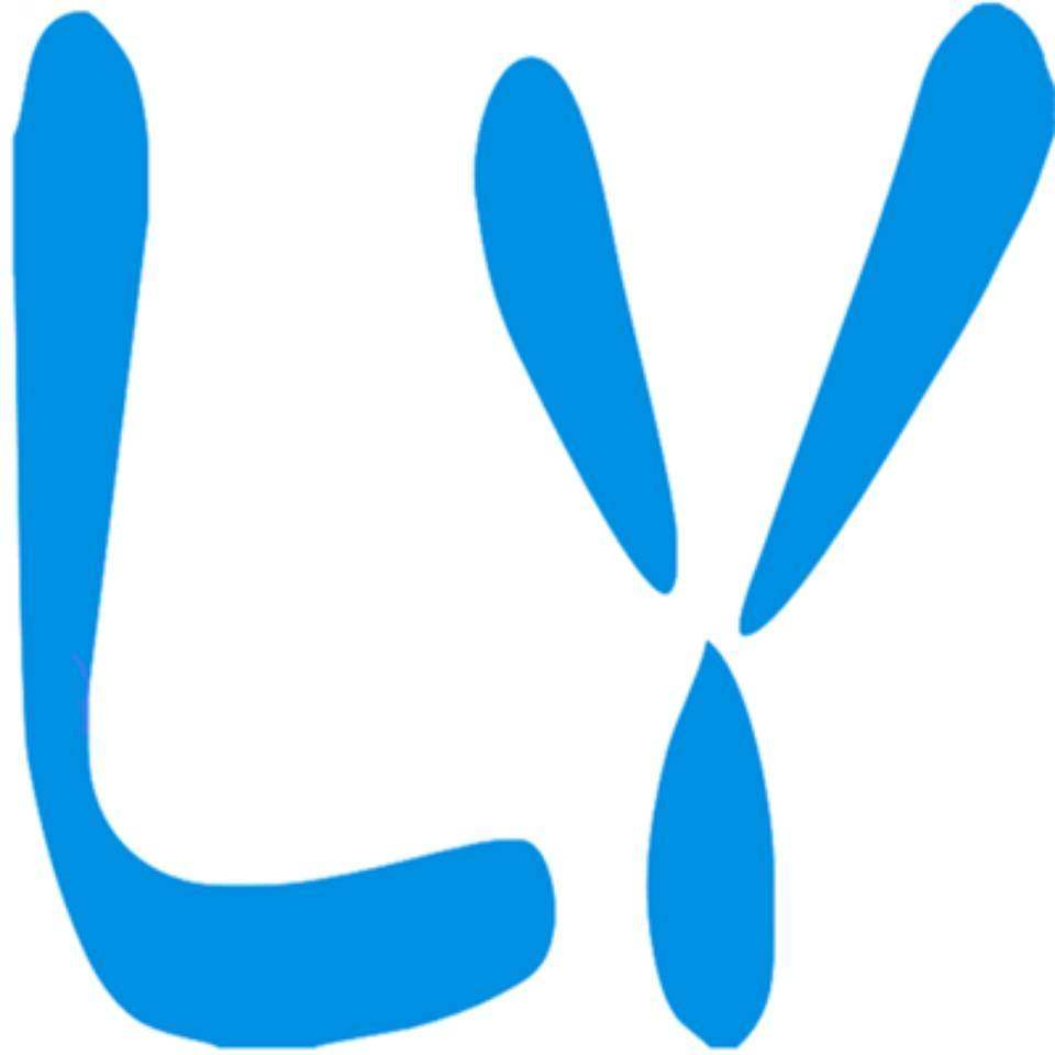 广州市莱悦电子科技有限公司