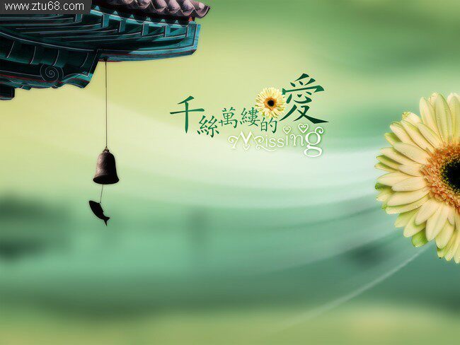 为丽视觉夜晶屏 店铺LOGO