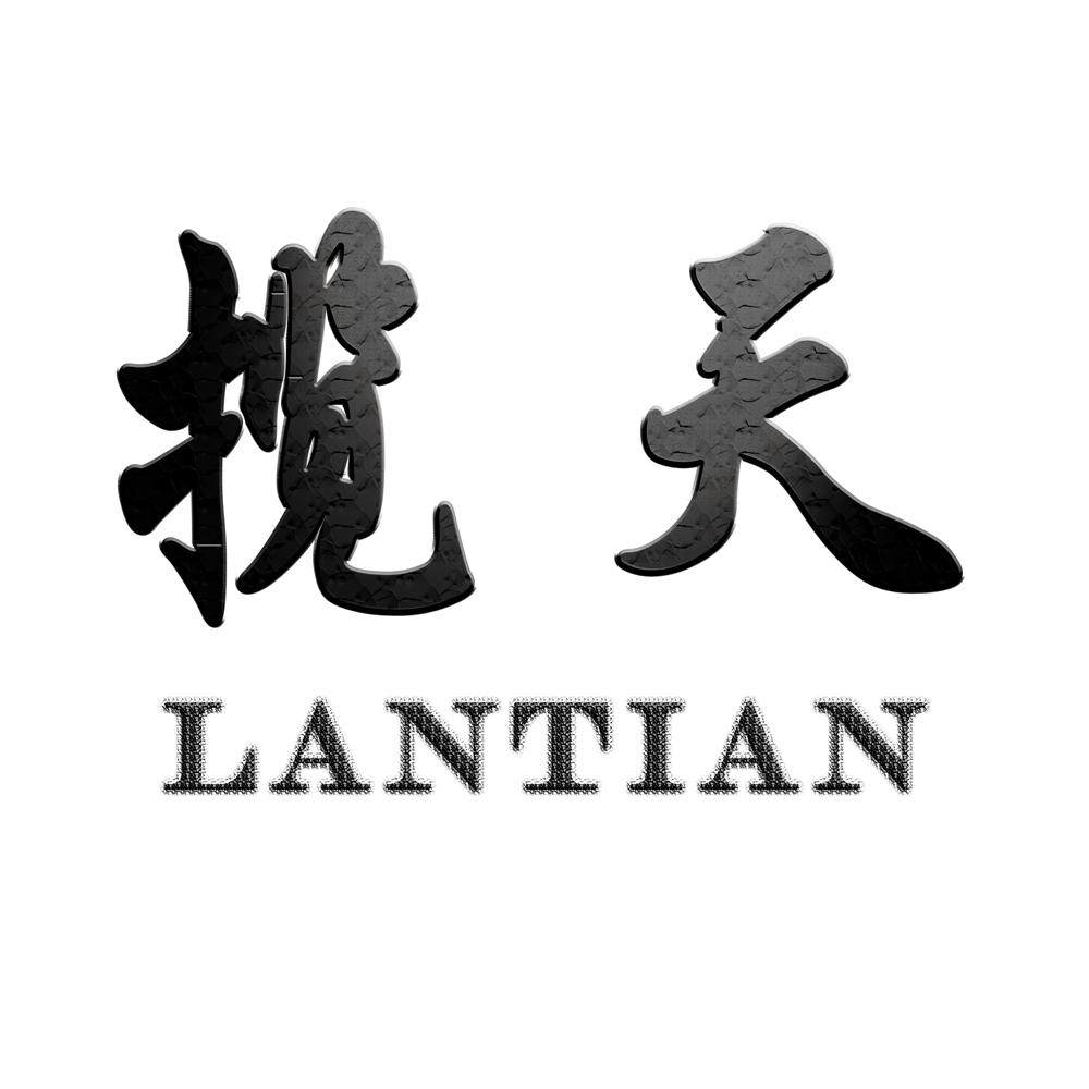 揽天知识产权服务