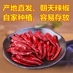 调人间美味