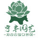 宁丰园艺韩国多肉
