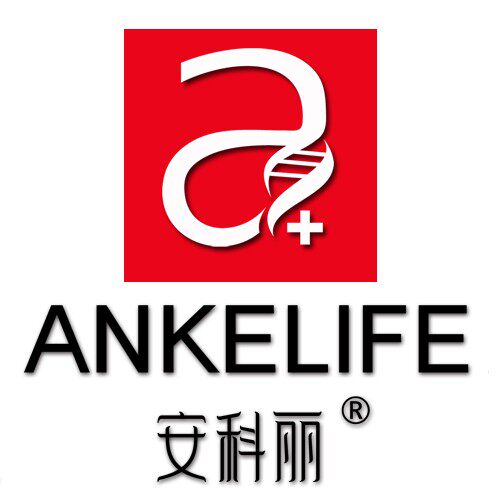安科丽正品保障店