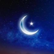 大太阳泰购