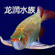 龙润水族 店铺LOGO