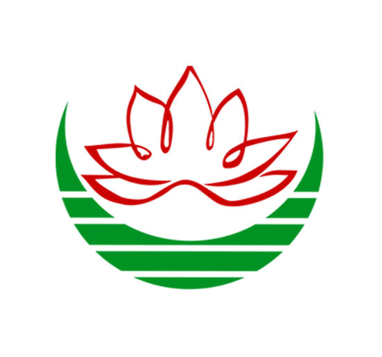 维实莲花
