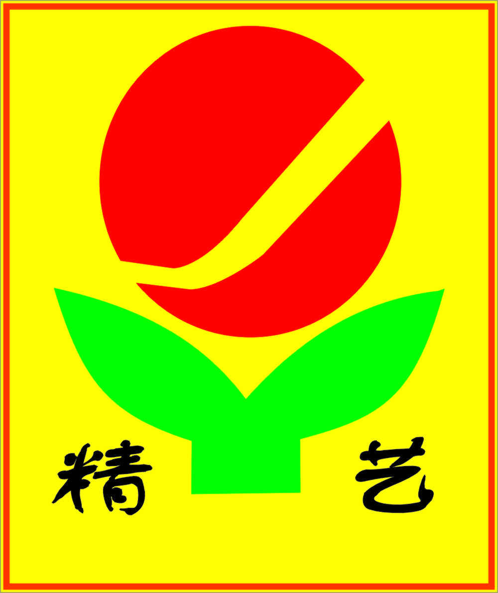 桐城市精艺包装