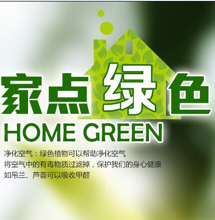 织金花好月圆花卉盆栽店 店铺LOGO