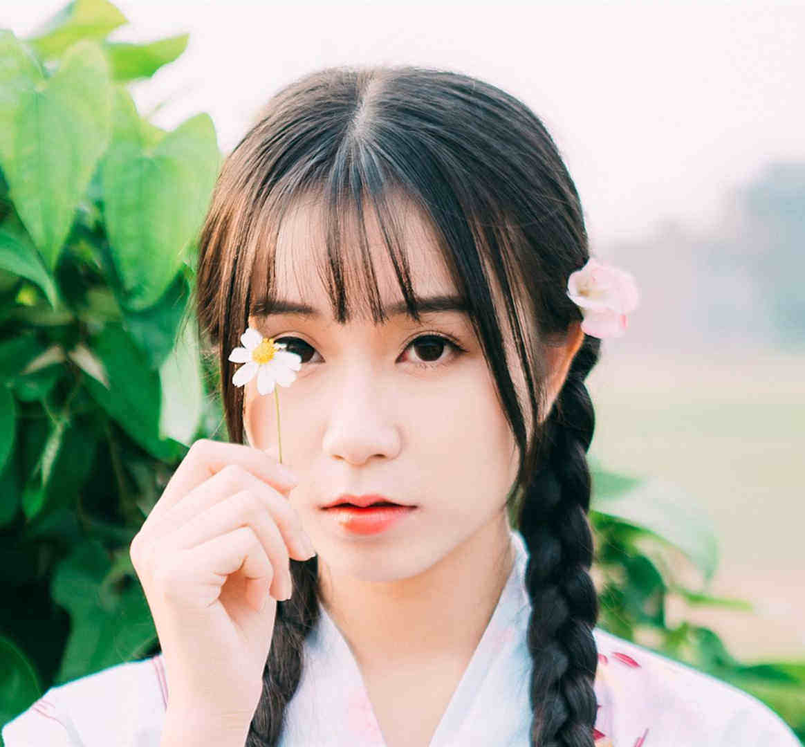 中国懒人园艺
