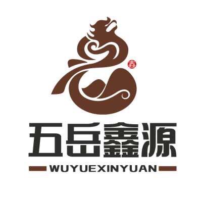 山东鑫源高科
