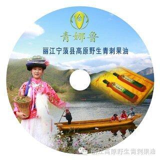 女儿国臻品青刺果油店 店铺LOGO
