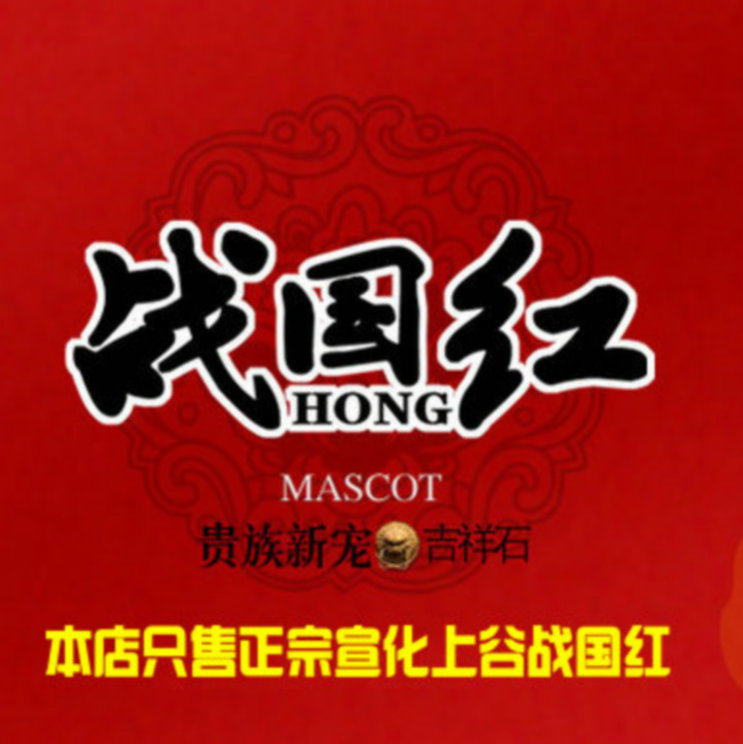 红锦天战国红玛瑙