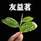 一品天下普洱茶庄