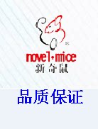 正品新奇鼠工厂店
