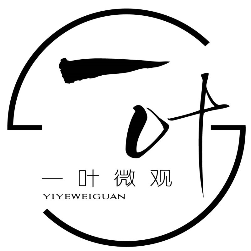 一叶微观