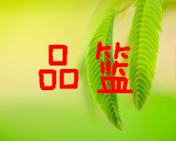 品篮 店铺LOGO