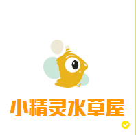 小精灵水草屋