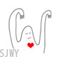SAN designs