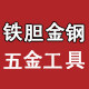 铁胆金钢 店铺LOGO