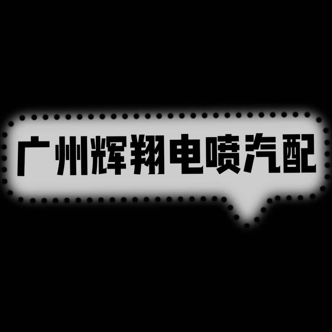 广州辉翔电喷汽配