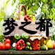 梦之都园艺品牌店