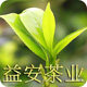 益安茶业 店铺LOGO
