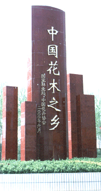 园艺工具用品