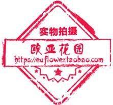 欧亚花园