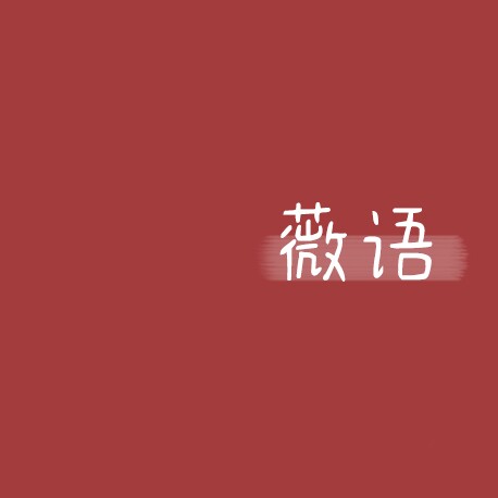 薇语大码女装