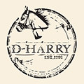 Dharry 服饰企业店