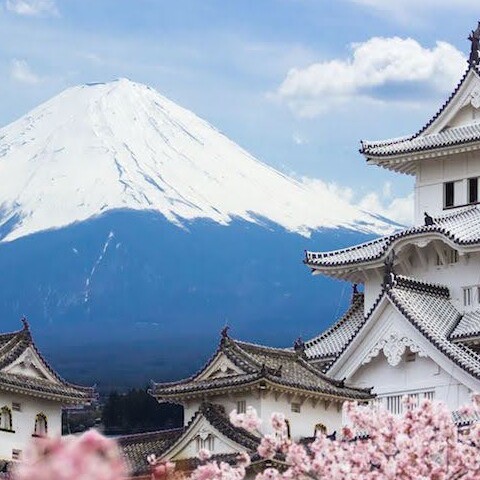 KITANO北野外贸企业店