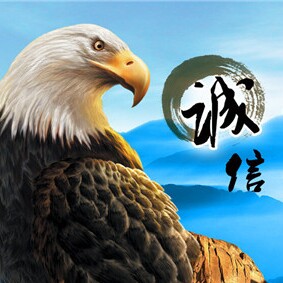 星辉金属