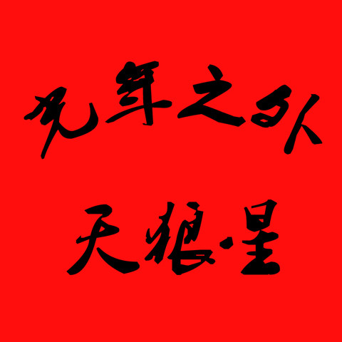 光年之外天狼星 店铺LOGO