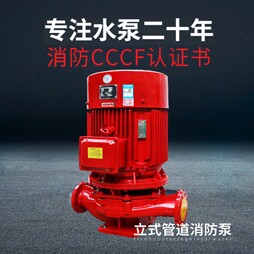 中国泵业制造商