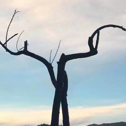 农家院应季水果