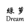 绿萝梦 高档时尚围巾配饰