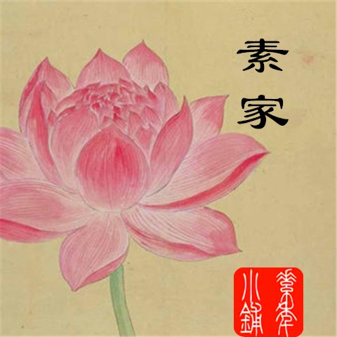 素家美玉和田玉 原名素年小铺