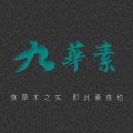 九华素旗舰店 店铺LOGO